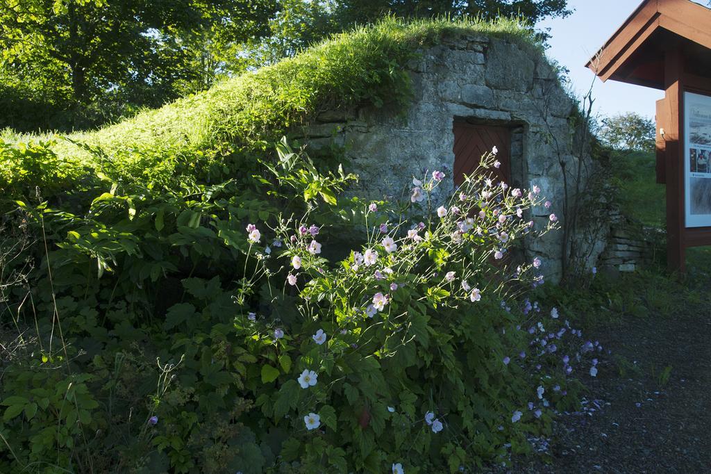 Loefwings B&B Broddetorp Екстериор снимка